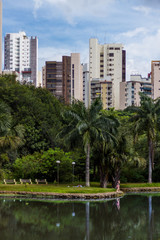 Fototapeta premium park