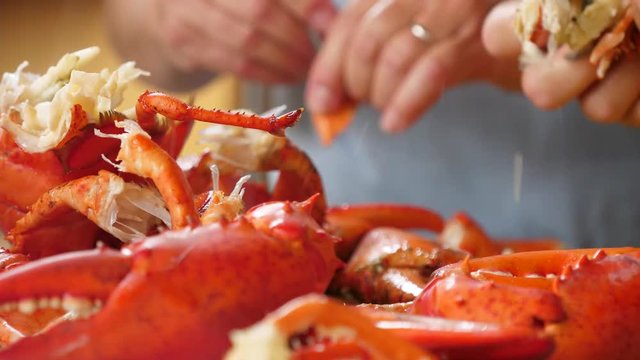Hands chop hot fresh boiled red lobster for dinner
