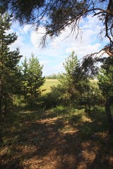 Steppen und Wälder in Kasachstan!