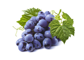 Horizontal bunch of blue grapes isolated on white background