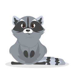 Isolated baby raccoon.