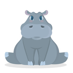 Isolated baby hippo.