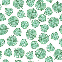 Seamless pattern with tropic monstera leaves on white background. Hand drawn watercolor illustration.