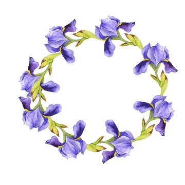 Lilac flower round frame isolated on white background. Hand drawn watercolor illustration.