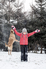 boy playing with dog on snow in winter
