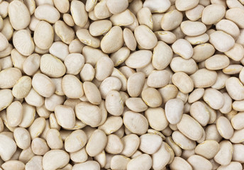 White kidney beans texture