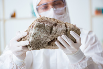 Scientist looking and stone samples in lab