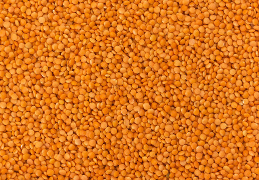 Red Lentils Texture