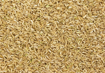 Brown rice texture