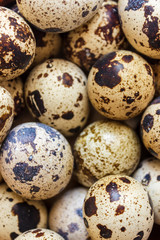 Quail eggs in a clay plate on a wooden background, a plate for storing quail eggs, a symbol of the Easter season. Healthy eating.