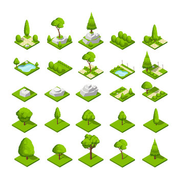 Isometric 3d nature elements. Forest and city park trees and plants. Vector map graphics