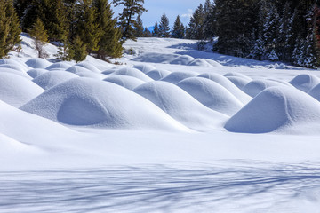 Snow mounds in open field with evergreen trees on a hill
