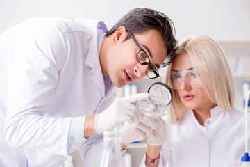 Obraz na płótnie Canvas Two chemists having discussion in lab