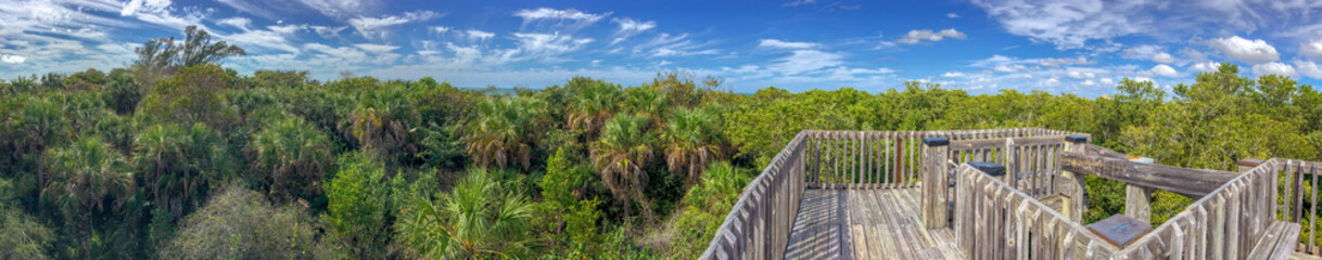 Fototapeta na wymiar Wooden path across the Everglades, panoramic view