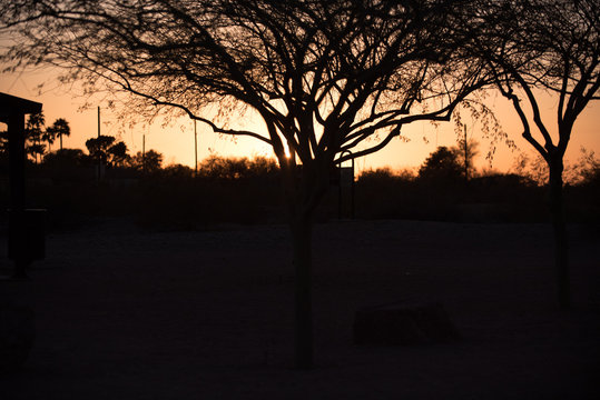 Imagen Sevilla, Documentary Style Wedding Photographer In The Chicago Area. Bride, Veil Portraits