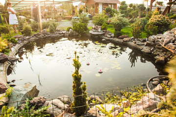 Garden pond landscaping