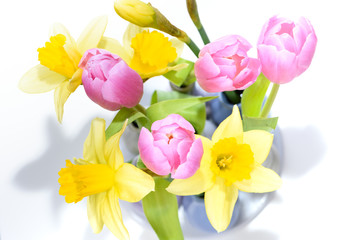Tulpen und Narzissen