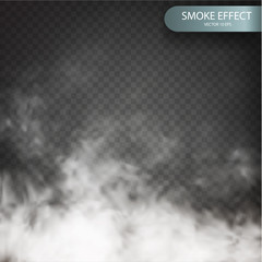Cloud effect on a transparent vector background realistic. Cloud vector. Fog or smoke isolated transparent special effect. White vector cloudiness, mist or smog background. Vector illustration