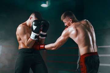 Plakat professional boxer on boxing ring, boxing training