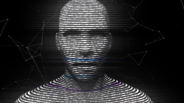 A digital virtual man generated from binary code