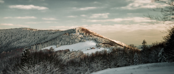 Zimowy pejzaż panorama