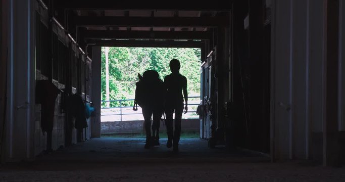 Equestrian rider silhoette walking horse through barn