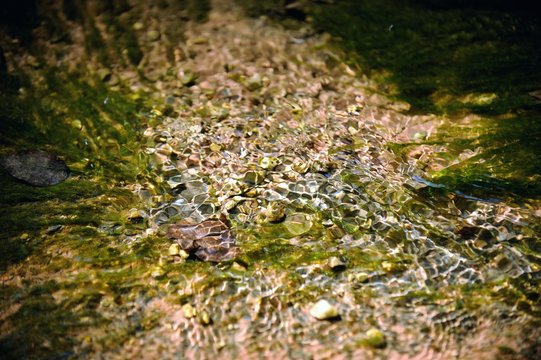 Brechendes Sonnenlicht im Wasser des Bachs
