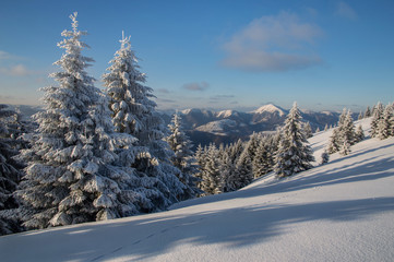 Winter landscape in Slovakia. Velka Fatra mountains under snow. Frozen snowy trees and sunny sky panorama.