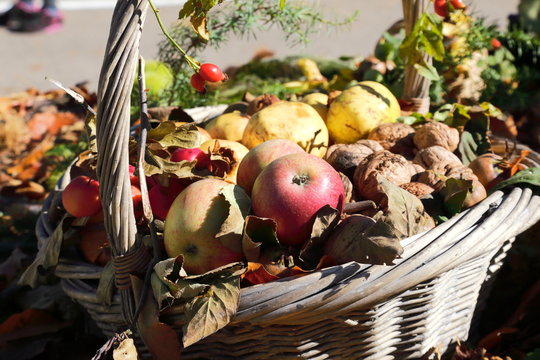 ricci di castagne