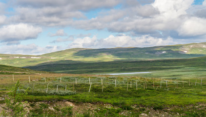 The characteristic landscape of the Arctic tundra in summer, Norway