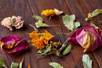 Set of assorted petals isolated on wooden background, top view, close-up, selective focus