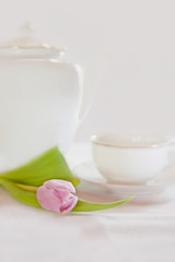 Kaffeegeschirr mit Tulpe