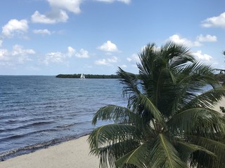 sail boat off Carribean beach