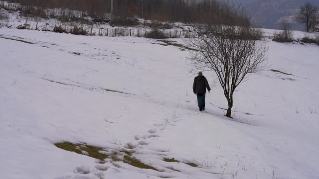 Man held branch a lone tree and goes in distance - (4K)
