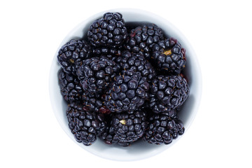 Brombeeren Beeren von oben isoliert freigestellt Freisteller