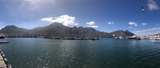 Port in south africa
