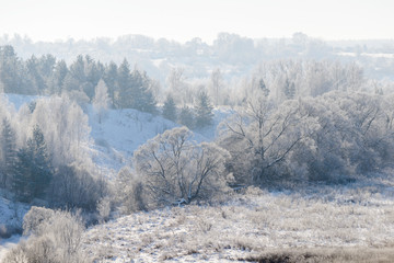 Winter landscape trees in frost in a snowy field in the early