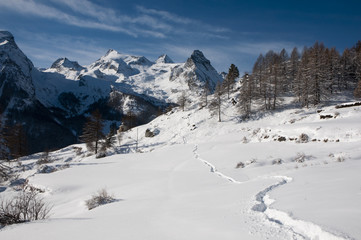 Fototapeta na wymiar Winter in mountain