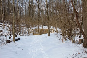 Fototapeta premium The wooden bridge in the snowy landscape of the forest. 