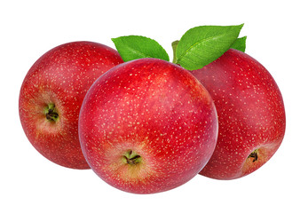Fresh red apple isolated on white background with clipping path