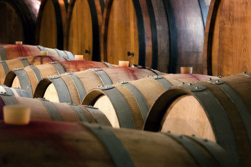 historic wine cellar in Langhe (Piedmont, Italy) with many barriques and slavonian oak barrels for the aging of red wine