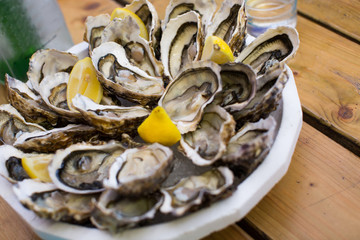 oysters on plate top view