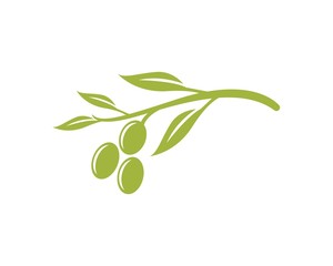 olive logo template