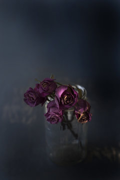 Dried Roses 