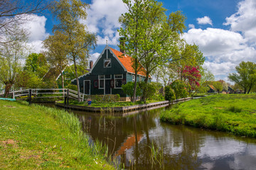 Fototapeta na wymiar Holland countryside