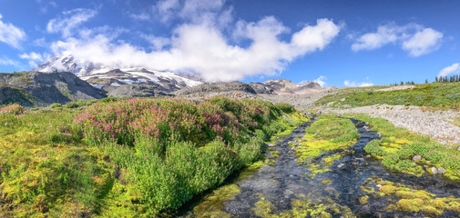 Naklejka premium Panoramic view of Mt Rainier creek and glacier on a beautiful summer day