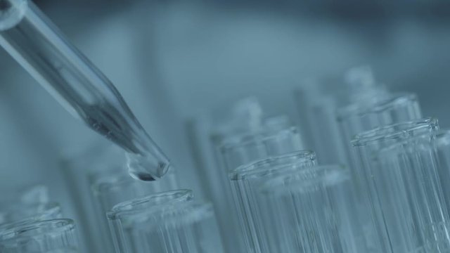 Close up of laboratory scientist working with a pipette analyzes and extract the DNA or molecules in the test tubes.on blue background with virtual interface