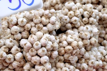 garlic at the market