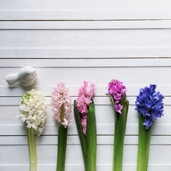 Flowers flatlay morning 