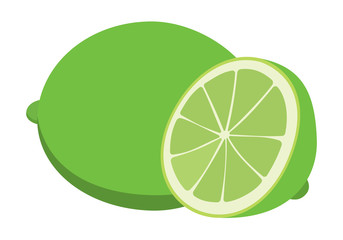 Vector whole and half of of lime. Every part isolated.